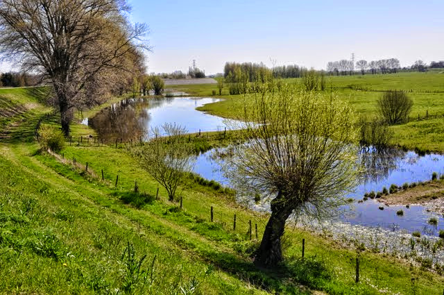 Voorjaar in de uiterwaarden