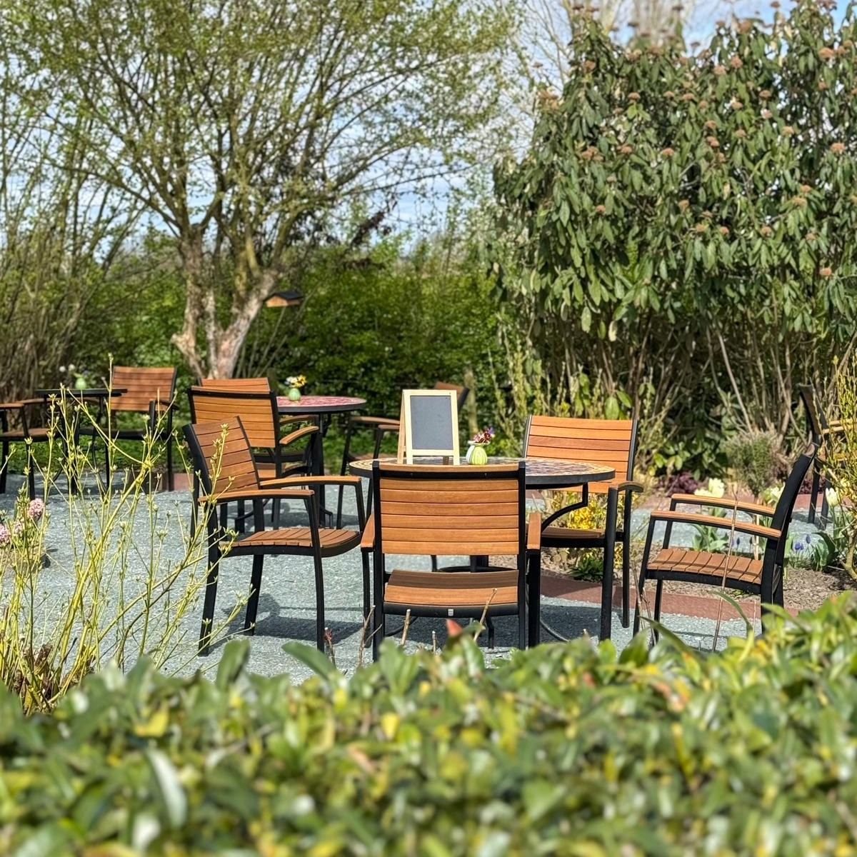 Natuur omgeving